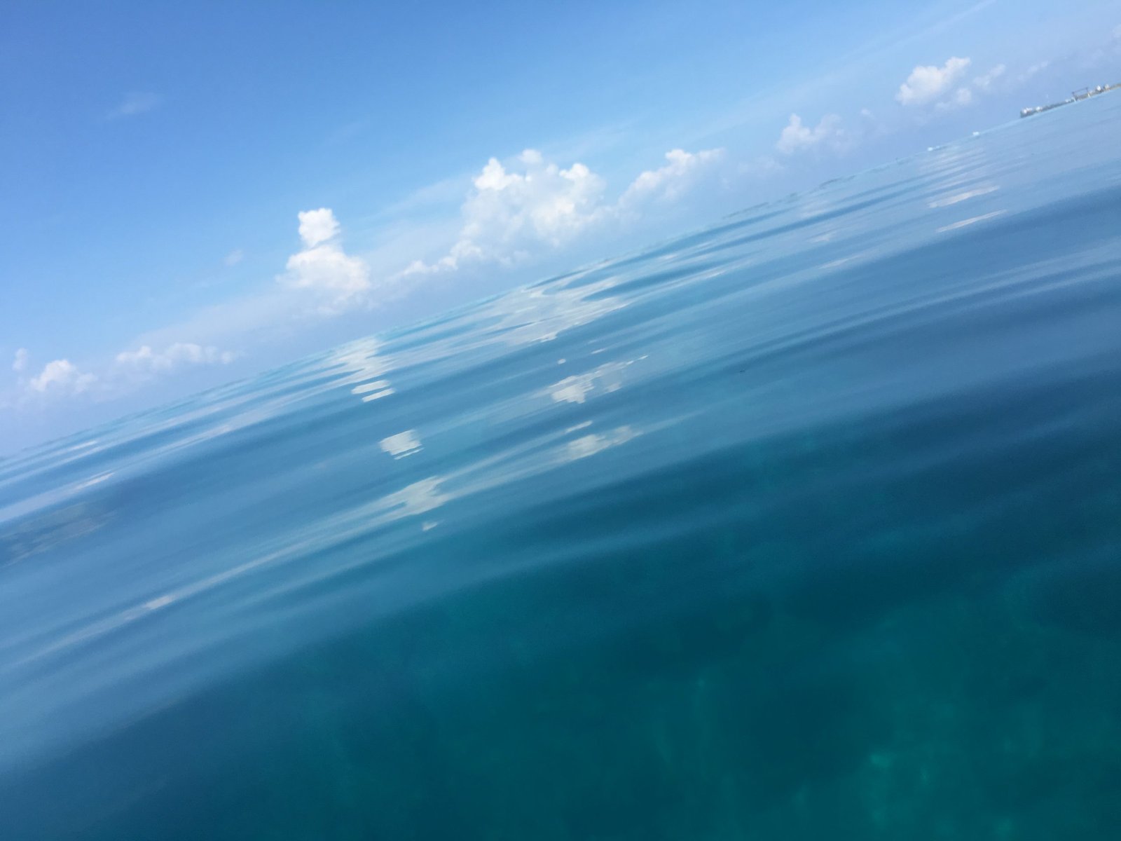 Transparent blue ocean